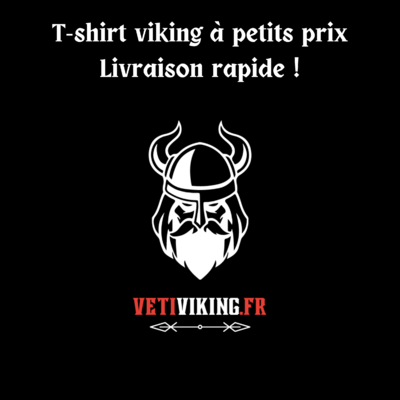 T-shirt viking à petits prix Livraison rapide !